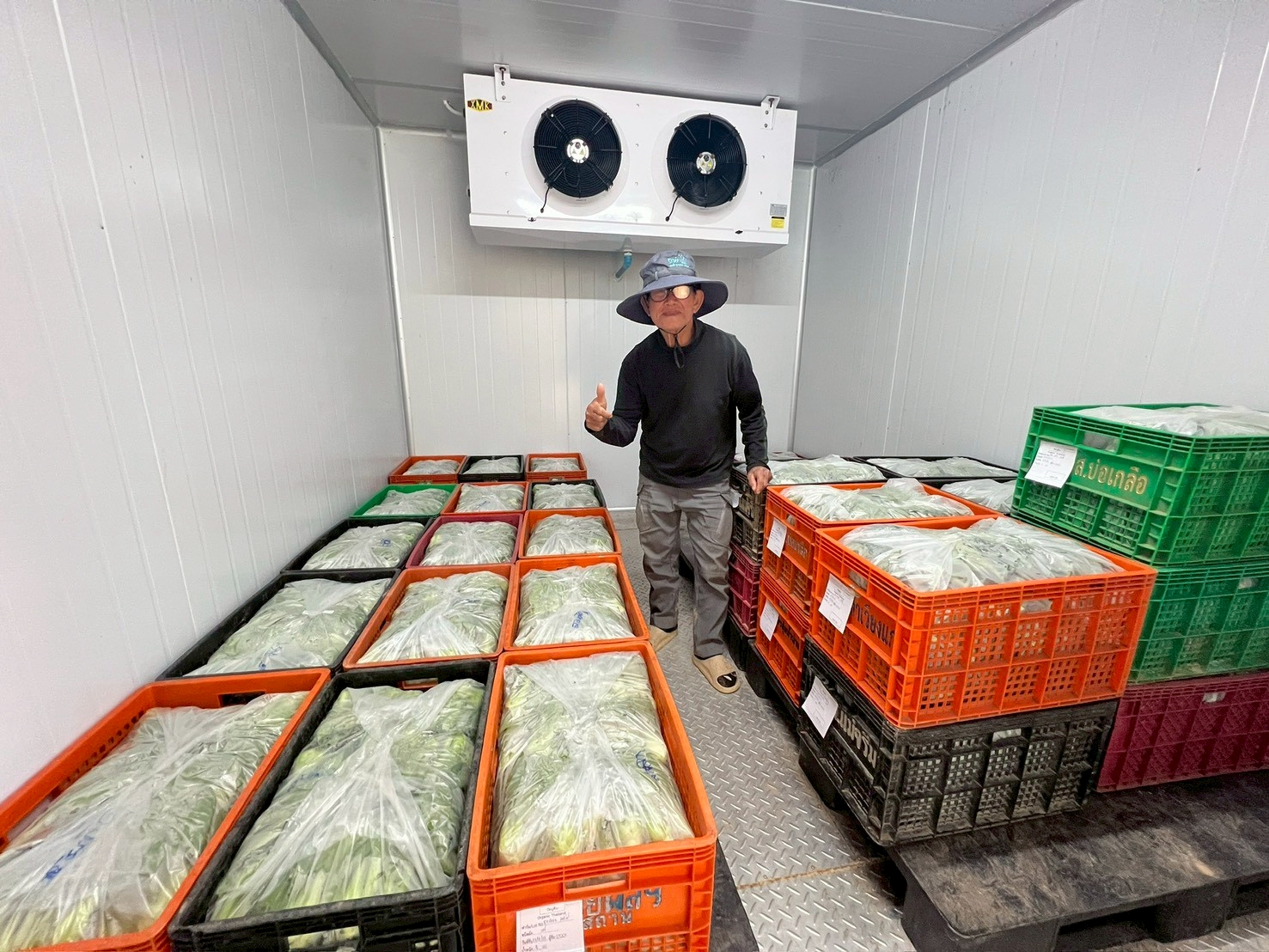 %e0%b8%9c%e0%b8%a5%e0%b8%9c%e0%b8%a5%e0%b8%b4%e0%b8%95%e0%b8%9e%e0%b8%b7%e0%b8%8a%e0%b8%9c%e0%b8%b1%e0%b8%81