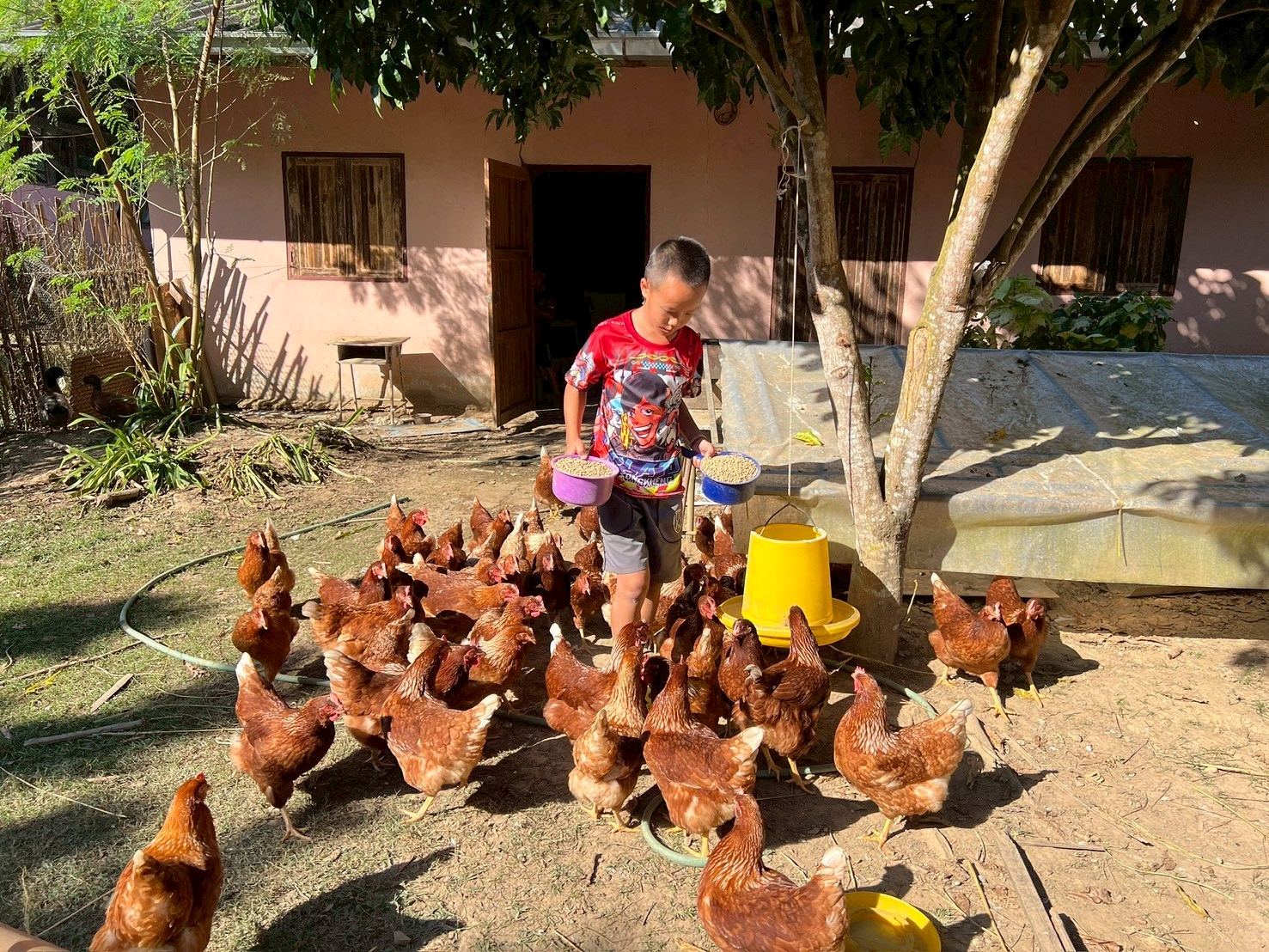 %e0%b9%80%e0%b8%a5%e0%b8%b5%e0%b9%89%e0%b8%a2%e0%b8%87%e0%b9%84%e0%b8%81%e0%b9%88%e0%b9%84%e0%b8%82%e0%b9%88