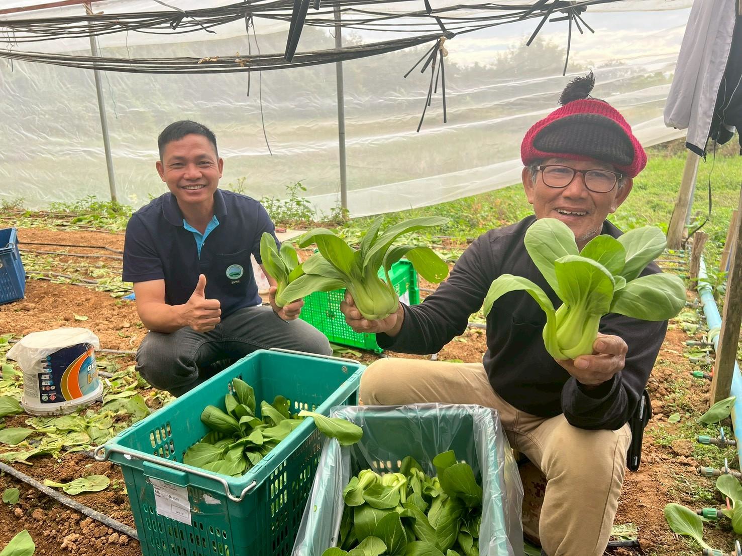 %e0%b8%95%e0%b8%b1%e0%b8%94%e0%b8%9c%e0%b8%b1%e0%b8%81%e0%b9%83%e0%b8%99%e0%b9%81%e0%b8%9b%e0%b8%a5%e0%b8%87