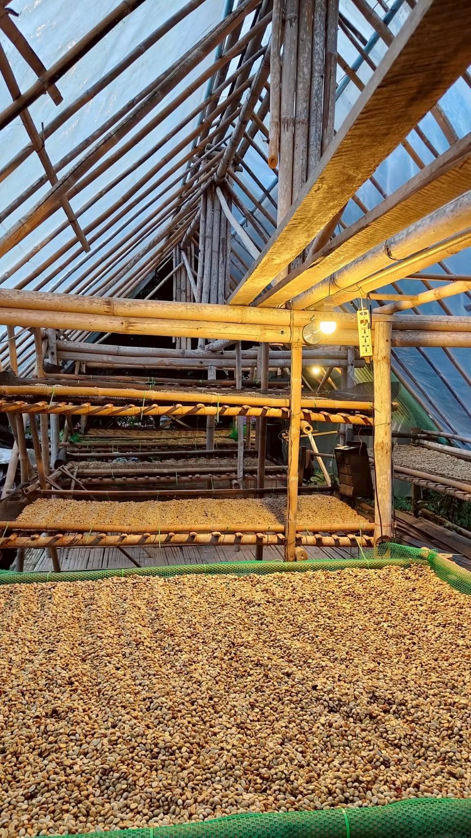 %e0%b9%82%e0%b8%a3%e0%b8%87%e0%b8%95%e0%b8%b2%e0%b8%81%e0%b8%81%e0%b8%b2%e0%b9%81%e0%b8%9f