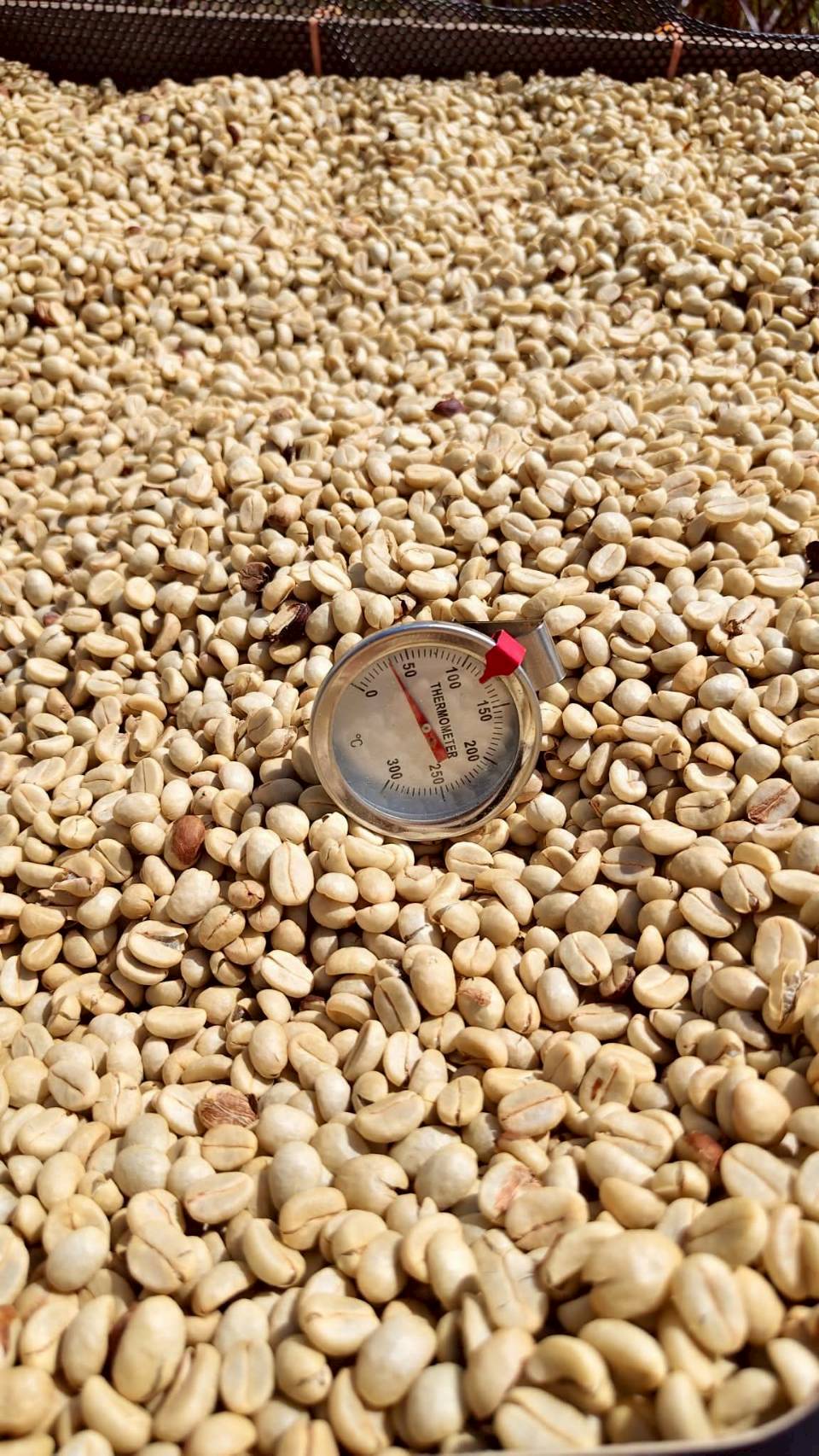 %e0%b8%a7%e0%b8%b1%e0%b8%94%e0%b8%ad%e0%b8%b8%e0%b8%93%e0%b8%ab%e0%b8%a0%e0%b8%b9%e0%b8%a1%e0%b8%b4%e0%b8%81%e0%b8%b2%e0%b9%81%e0%b8%9f