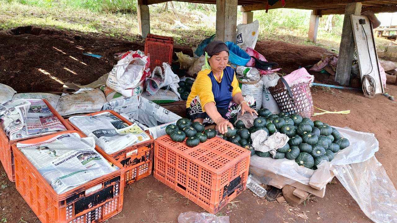 %e0%b8%9f%e0%b8%b1%e0%b8%81%e0%b8%97%e0%b8%ad%e0%b8%87%e0%b8%88%e0%b8%b4%e0%b9%8b%e0%b8%a7