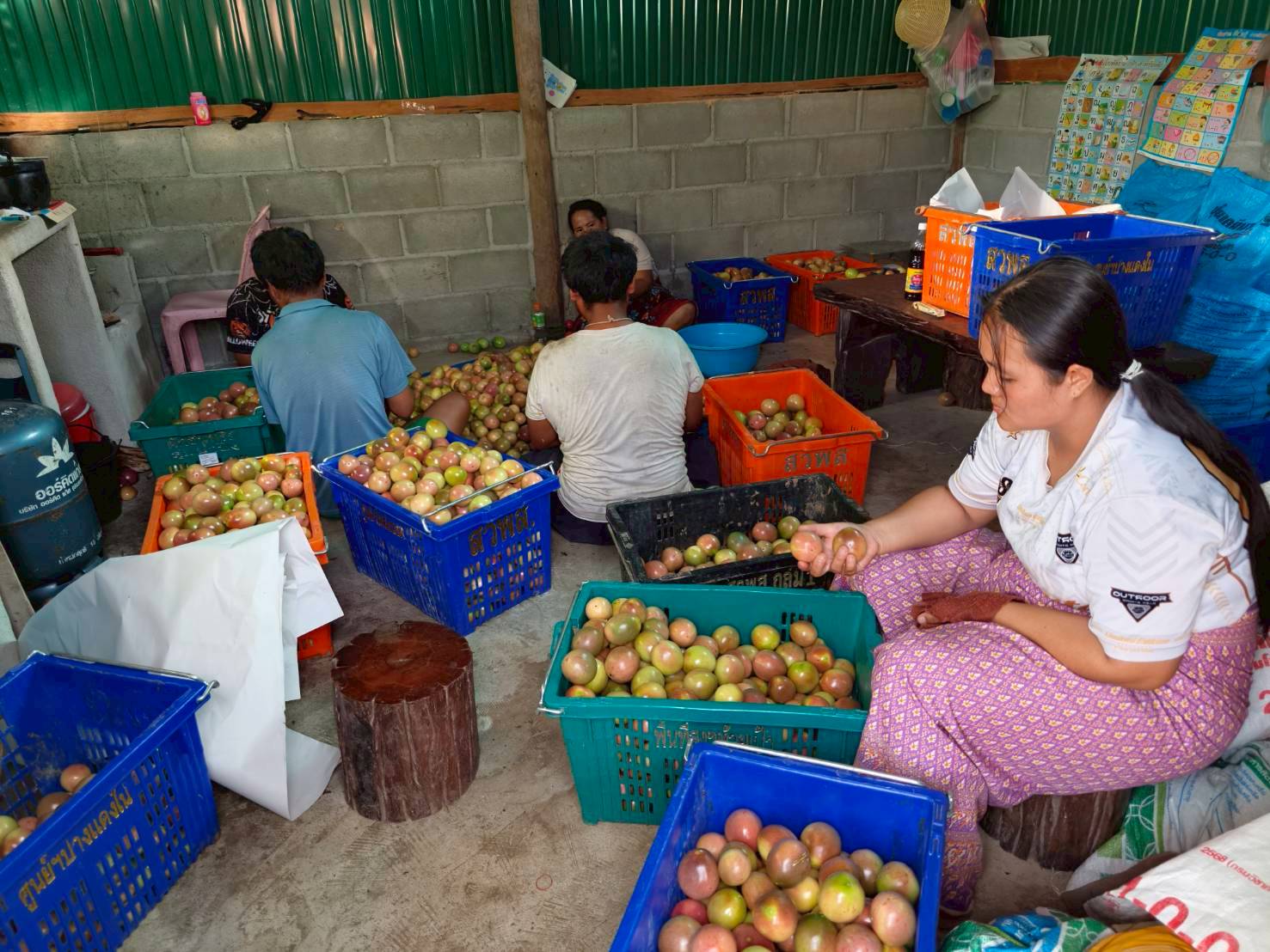 %e0%b9%80%e0%b8%aa%e0%b8%b2%e0%b8%a7%e0%b8%a3%e0%b8%aa%e0%b8%ab%e0%b8%a7%e0%b8%b2%e0%b8%99%e0%b8%ab%e0%b9%89%e0%b8%a7%e0%b8%a2%e0%b9%80%e0%b8%9b%e0%b9%89%e0%b8%b2