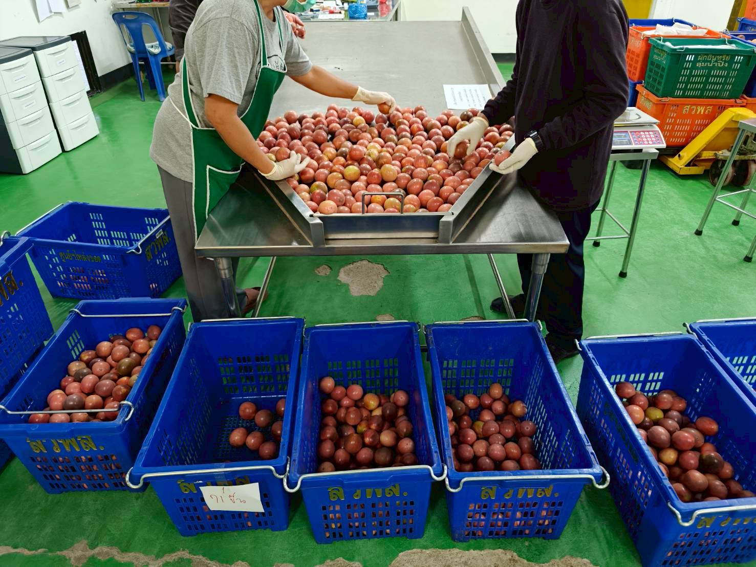 %e0%b9%80%e0%b8%aa%e0%b8%b2%e0%b8%a7%e0%b8%a3%e0%b8%aa%e0%b8%ab%e0%b8%a7%e0%b8%b2%e0%b8%99%e0%b8%ab%e0%b9%89%e0%b8%a7%e0%b8%a2%e0%b9%80%e0%b8%9b%e0%b9%89%e0%b8%b2-1