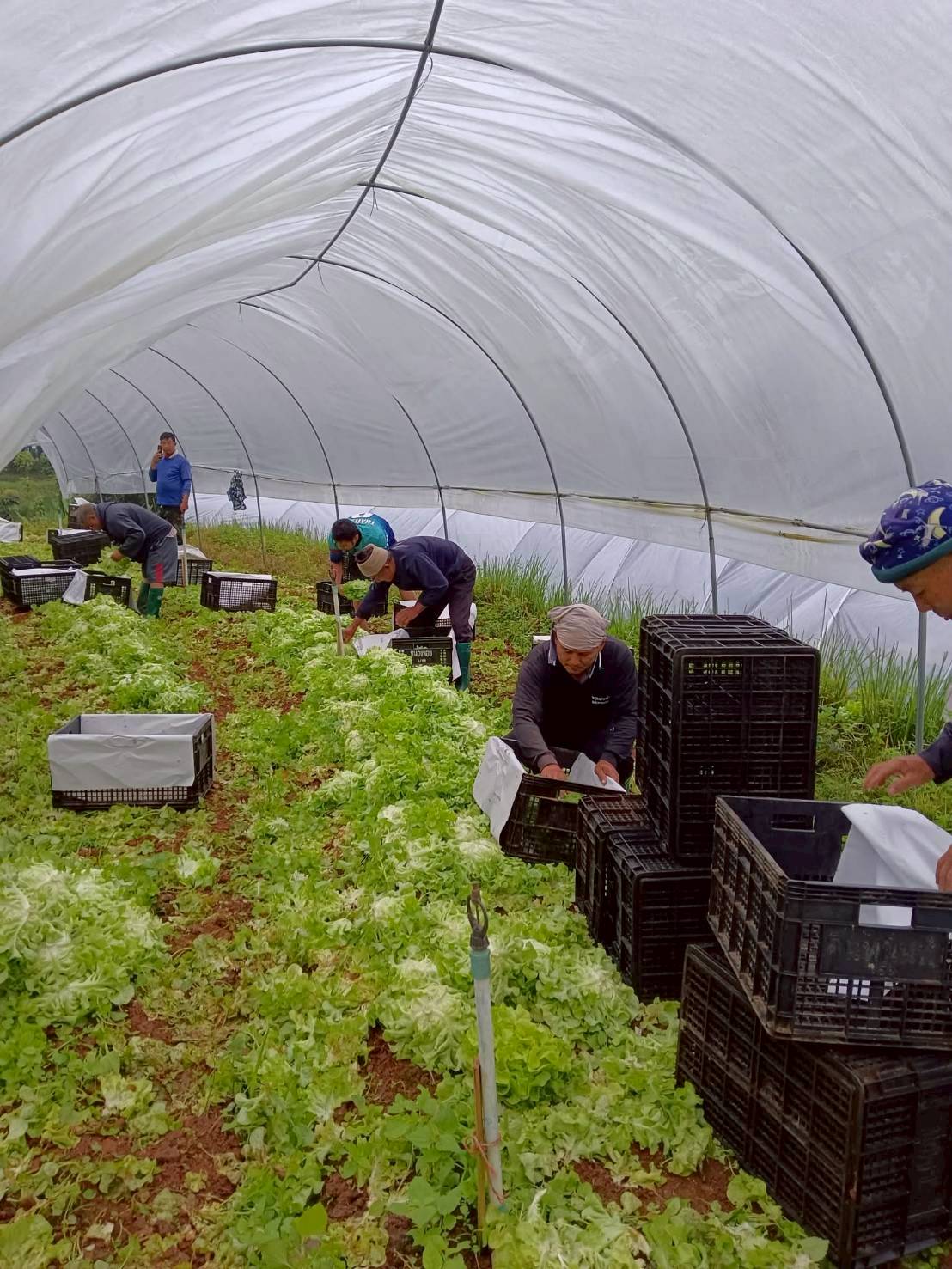 %e0%b9%80%e0%b8%81%e0%b9%87%e0%b8%9a%e0%b8%9c%e0%b8%a5%e0%b8%9c%e0%b8%a5%e0%b8%b4%e0%b8%95%e0%b9%83%e0%b8%99%e0%b9%81%e0%b8%9b%e0%b8%a5%e0%b8%87