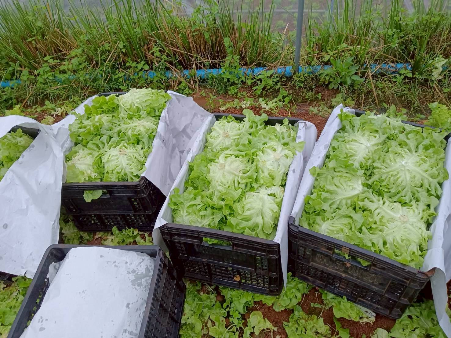 %e0%b8%9c%e0%b8%b1%e0%b8%94%e0%b8%aa%e0%b8%a5%e0%b8%b1%e0%b8%94%e0%b8%94%e0%b8%ad%e0%b8%a2%e0%b8%9b%e0%b8%b8%e0%b8%a2