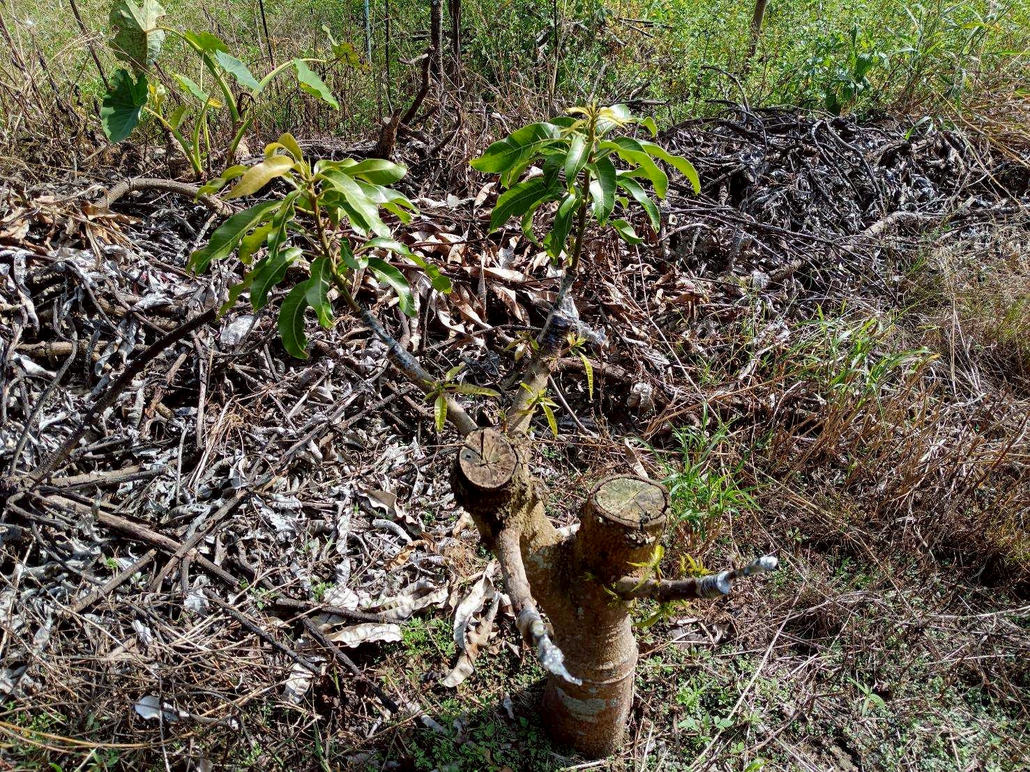 %e0%b8%81%e0%b8%b2%e0%b8%a3%e0%b9%80%e0%b8%9b%e0%b8%a5%e0%b8%b5%e0%b9%88%e0%b8%a2%e0%b8%99%e0%b8%9e%e0%b8%b1%e0%b8%99%e0%b8%98%e0%b8%b8%e0%b9%8c%e0%b8%a1%e0%b8%b0%e0%b8%a1%e0%b9%88%e0%b8%a7%e0%b8%87