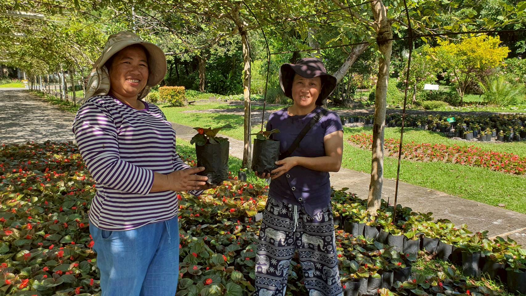 %e0%b8%aa%e0%b9%88%e0%b8%87%e0%b8%a1%e0%b8%ad%e0%b8%9a%e0%b9%84%e0%b8%a1%e0%b9%89%e0%b8%94%e0%b8%ad%e0%b8%81