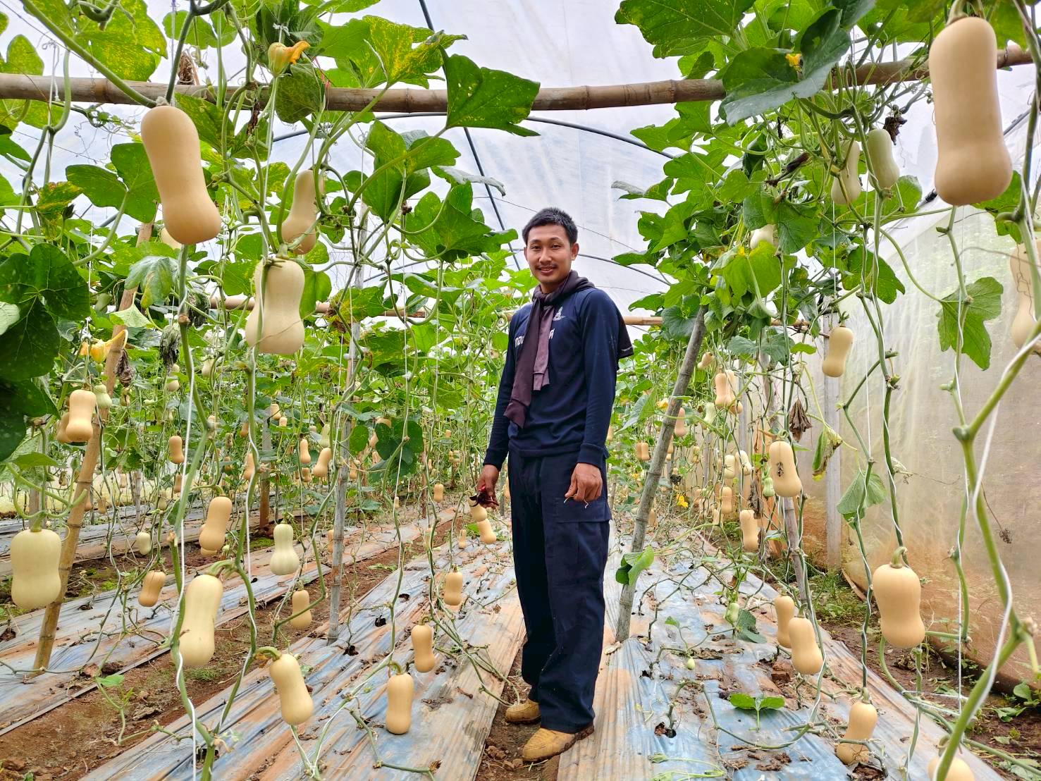 %e0%b8%9a%e0%b8%b1%e0%b8%95%e0%b9%80%e0%b8%95%e0%b8%ad%e0%b8%a3%e0%b9%8c%e0%b8%99%e0%b8%b1%e0%b8%97-%e0%b8%9b%e0%b8%b2%e0%b8%87%e0%b8%ab%e0%b8%b4%e0%b8%99%e0%b8%9d%e0%b8%99