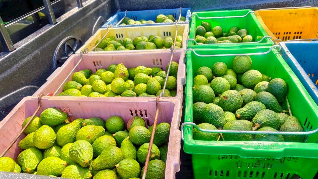 %e0%b8%ad%e0%b8%b0%e0%b9%82%e0%b8%a7%e0%b8%84%e0%b8%b2%e0%b9%82%e0%b8%94-%e0%b8%9b%e0%b9%88%e0%b8%b2%e0%b8%81%e0%b8%a5%e0%b9%89%e0%b8%a7%e0%b8%a2