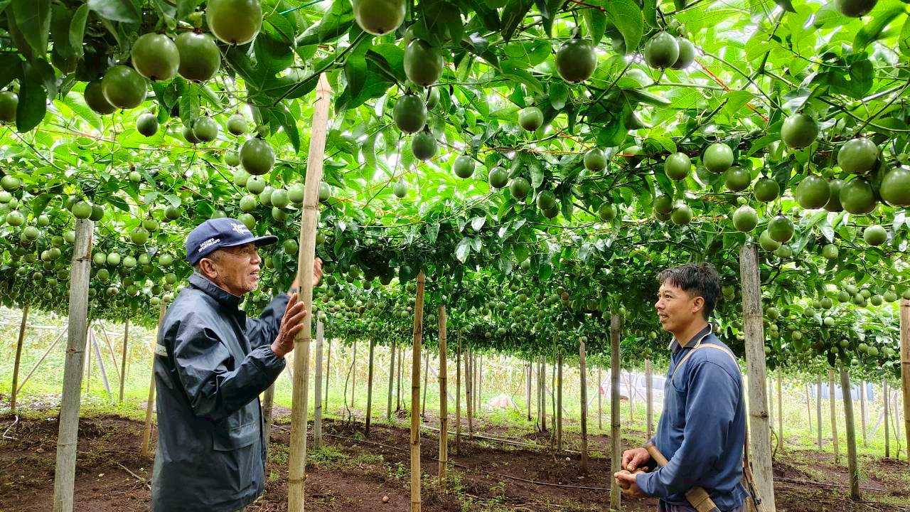 %e0%b8%95%e0%b8%b4%e0%b8%95%e0%b8%95%e0%b8%b2%e0%b8%a1%e0%b8%87%e0%b8%b2%e0%b8%99%e0%b8%aa%e0%b9%88%e0%b8%87%e0%b9%80%e0%b8%aa%e0%b8%a3%e0%b8%b4%e0%b8%a1