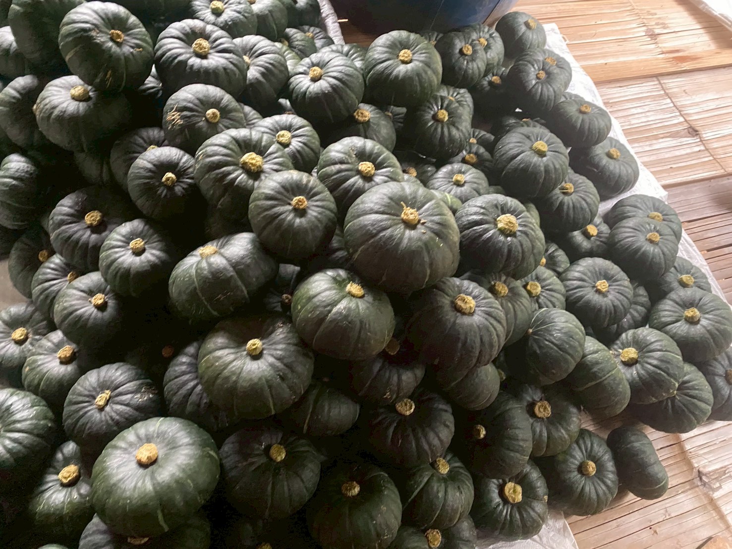 %e0%b8%9f%e0%b8%b1%e0%b8%81%e0%b8%97%e0%b8%ad%e0%b8%87%e0%b8%8d%e0%b8%b5%e0%b9%88%e0%b8%9b%e0%b8%b8%e0%b9%88%e0%b8%99-%e0%b8%9f%e0%b9%89%e0%b8%b2%e0%b8%aa%e0%b8%a7%e0%b8%a2-2