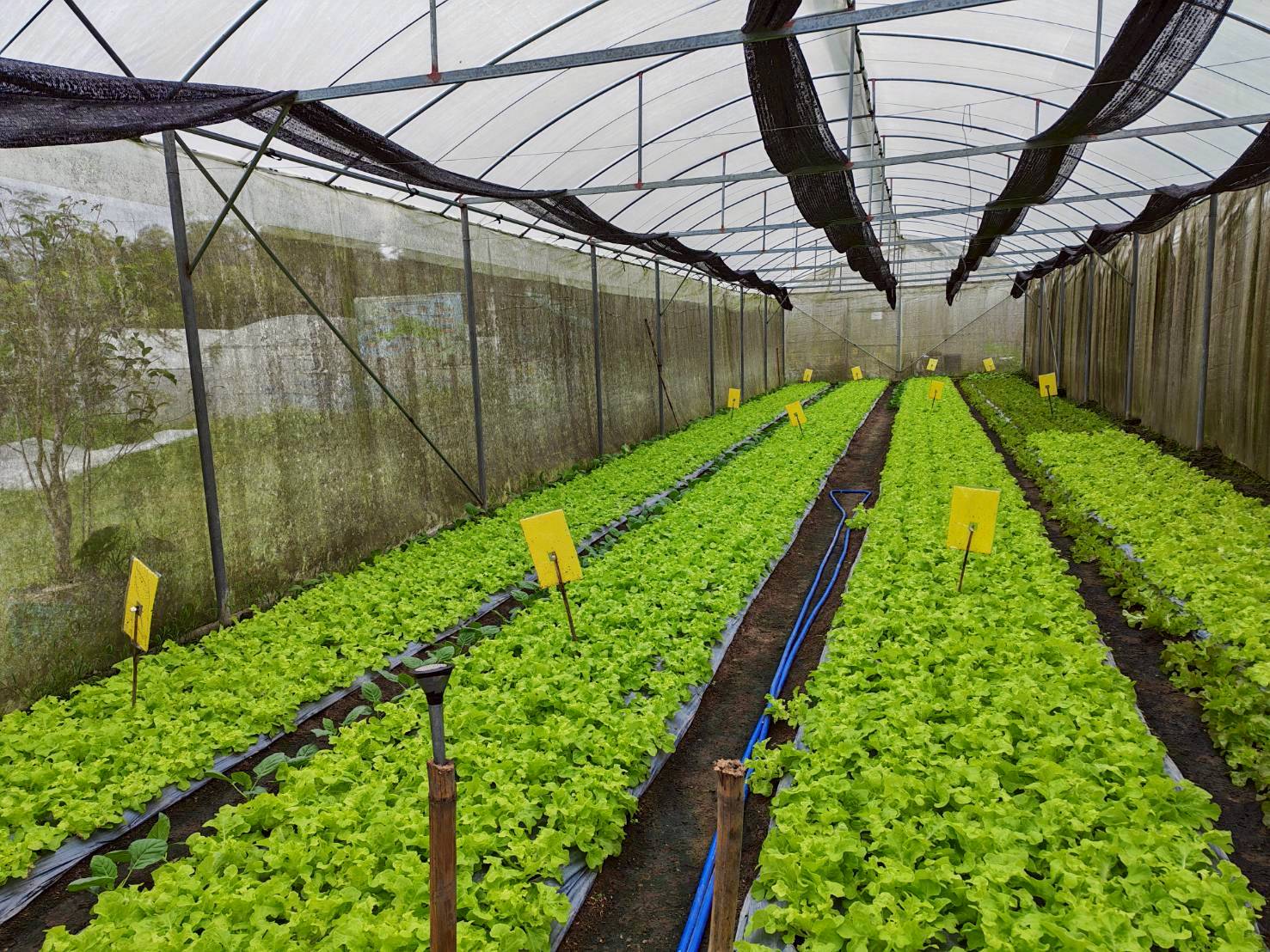 %e0%b9%82%e0%b8%a3%e0%b8%87%e0%b9%80%e0%b8%a3%e0%b8%b7%e0%b8%ad%e0%b8%99%e0%b8%9b%e0%b8%a5%e0%b8%b9%e0%b8%81%e0%b8%9c%e0%b8%b1%e0%b8%81