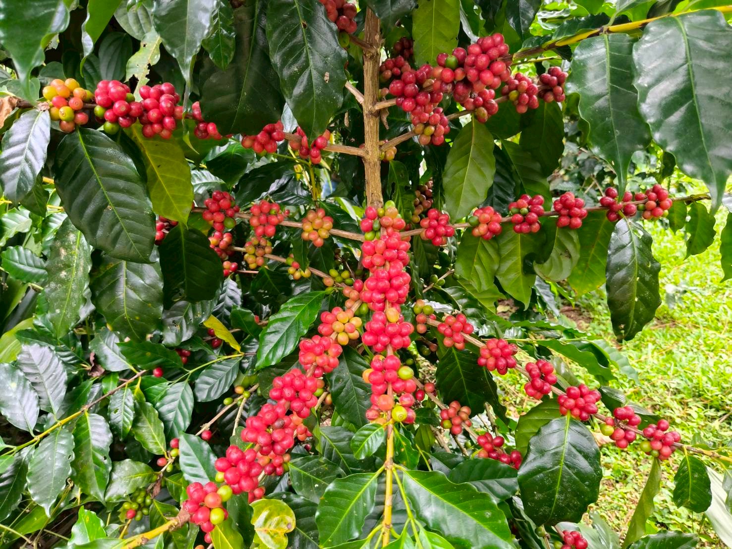 %e0%b8%81%e0%b8%b2%e0%b9%81%e0%b8%9f%e0%b9%82%e0%b8%ab%e0%b8%a5%e0%b9%88%e0%b8%87%e0%b8%82%e0%b8%ad%e0%b8%94-2