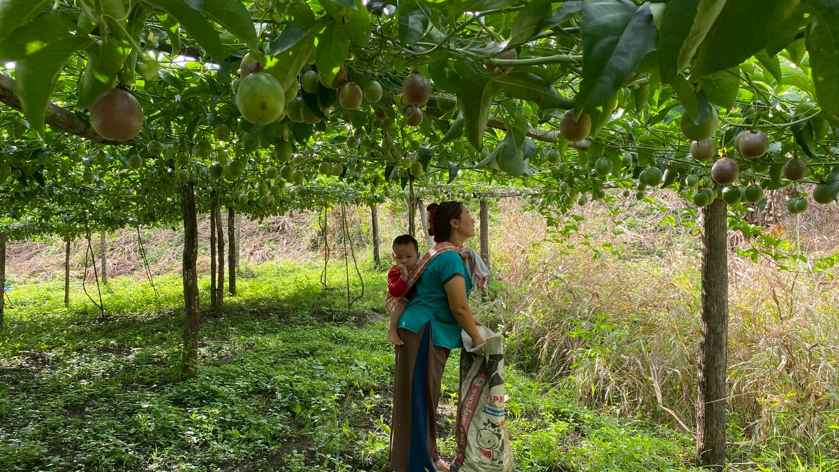 %e0%b9%80%e0%b8%aa%e0%b8%b2%e0%b8%a7%e0%b8%a3%e0%b8%aa%e0%b8%ab%e0%b8%a7%e0%b8%b2%e0%b8%99