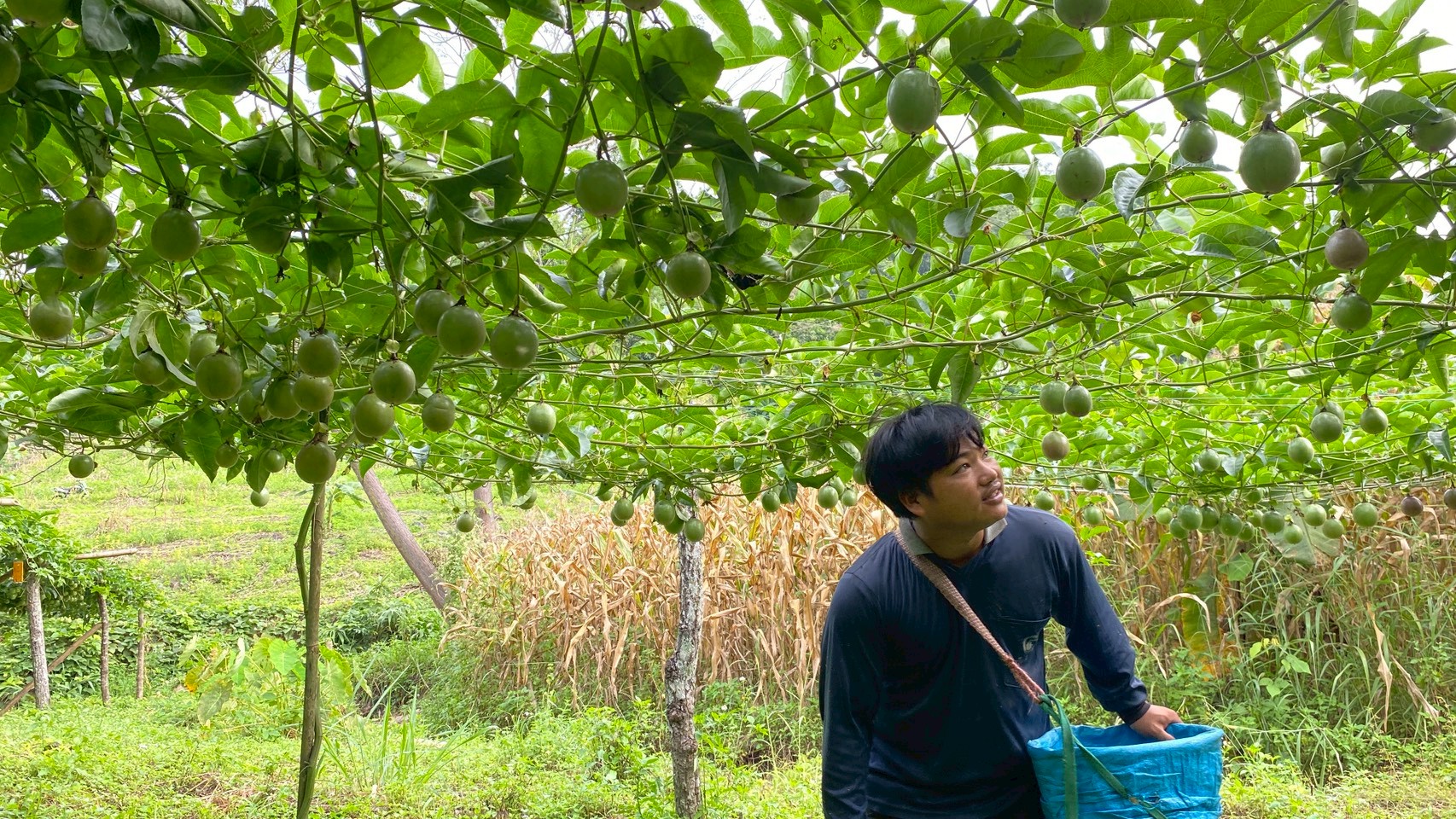 %e0%b9%80%e0%b8%aa%e0%b8%b2%e0%b8%a7%e0%b8%a3%e0%b8%aa%e0%b8%ab%e0%b8%a7%e0%b8%b2%e0%b8%99-1