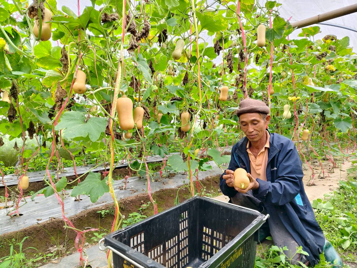 %e0%b8%9a%e0%b8%b1%e0%b8%95%e0%b9%80%e0%b8%95%e0%b8%ad%e0%b8%a3%e0%b9%8c%e0%b8%99%e0%b8%b1%e0%b8%97-%e0%b8%9b%e0%b8%b2%e0%b8%87%e0%b8%ab%e0%b8%b4%e0%b8%99%e0%b8%9d%e0%b8%99