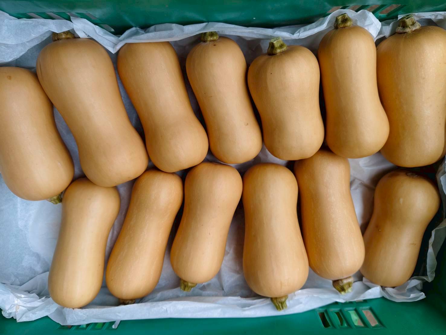 %e0%b8%9c%e0%b8%a5%e0%b8%9c%e0%b8%a5%e0%b8%b4%e0%b8%95%e0%b8%9a%e0%b8%b1%e0%b8%95%e0%b9%80%e0%b8%95%e0%b8%ad%e0%b8%a3%e0%b9%8c%e0%b8%99%e0%b8%b1%e0%b8%97