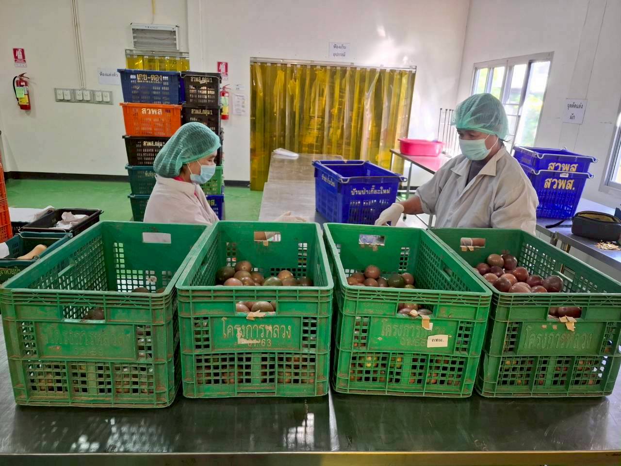 %e0%b9%80%e0%b8%aa%e0%b8%b2%e0%b8%a7%e0%b8%a3%e0%b8%aa%e0%b8%ab%e0%b8%a7%e0%b8%b2%e0%b8%99%e0%b8%ab%e0%b9%89%e0%b8%a7%e0%b8%a2%e0%b9%80%e0%b8%9b%e0%b9%89%e0%b8%b2-3