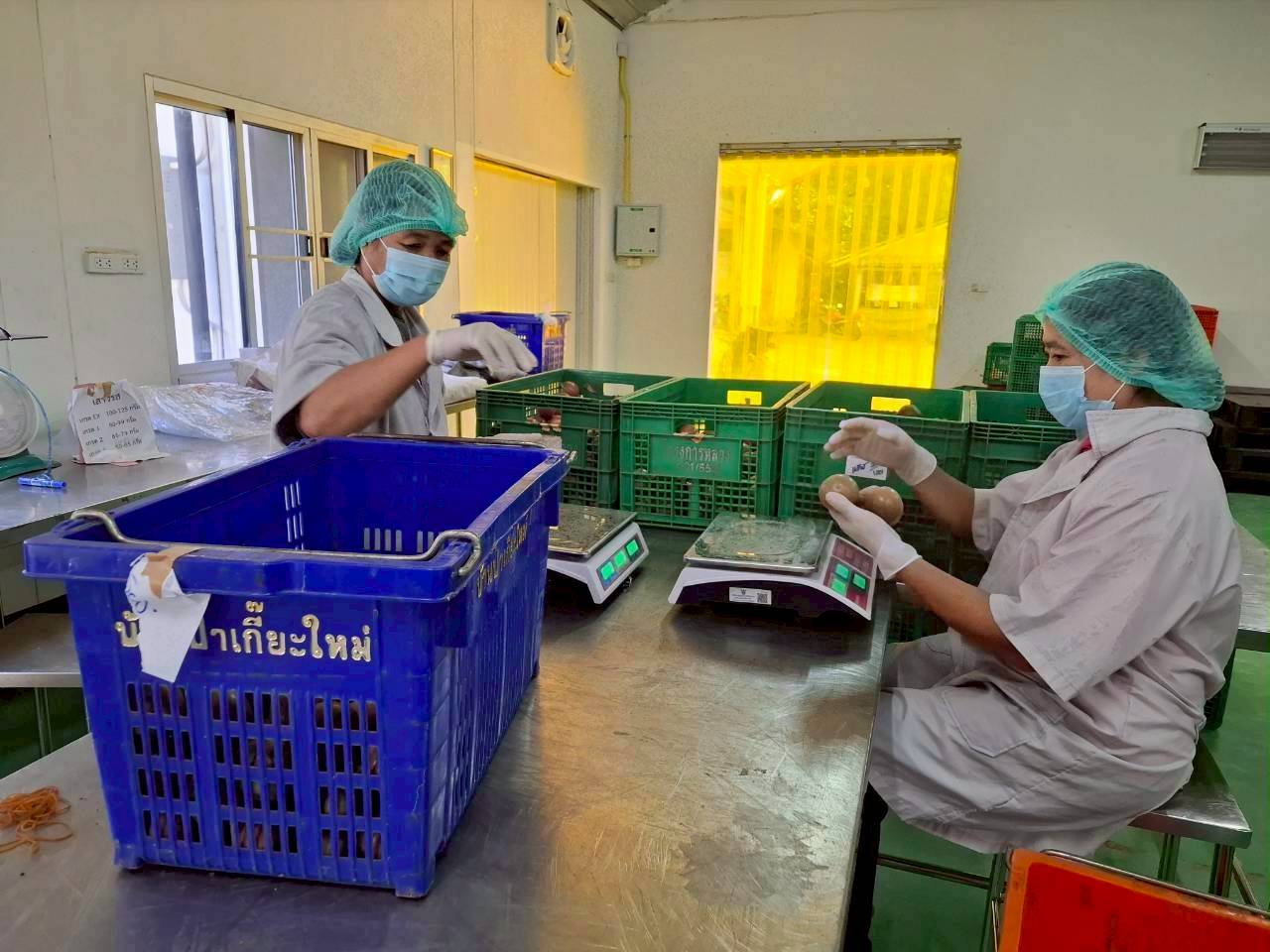 %e0%b9%80%e0%b8%aa%e0%b8%b2%e0%b8%a7%e0%b8%a3%e0%b8%aa%e0%b8%ab%e0%b8%a7%e0%b8%b2%e0%b8%99%e0%b8%ab%e0%b9%89%e0%b8%a7%e0%b8%a2%e0%b9%80%e0%b8%9b%e0%b9%89%e0%b8%b2-4