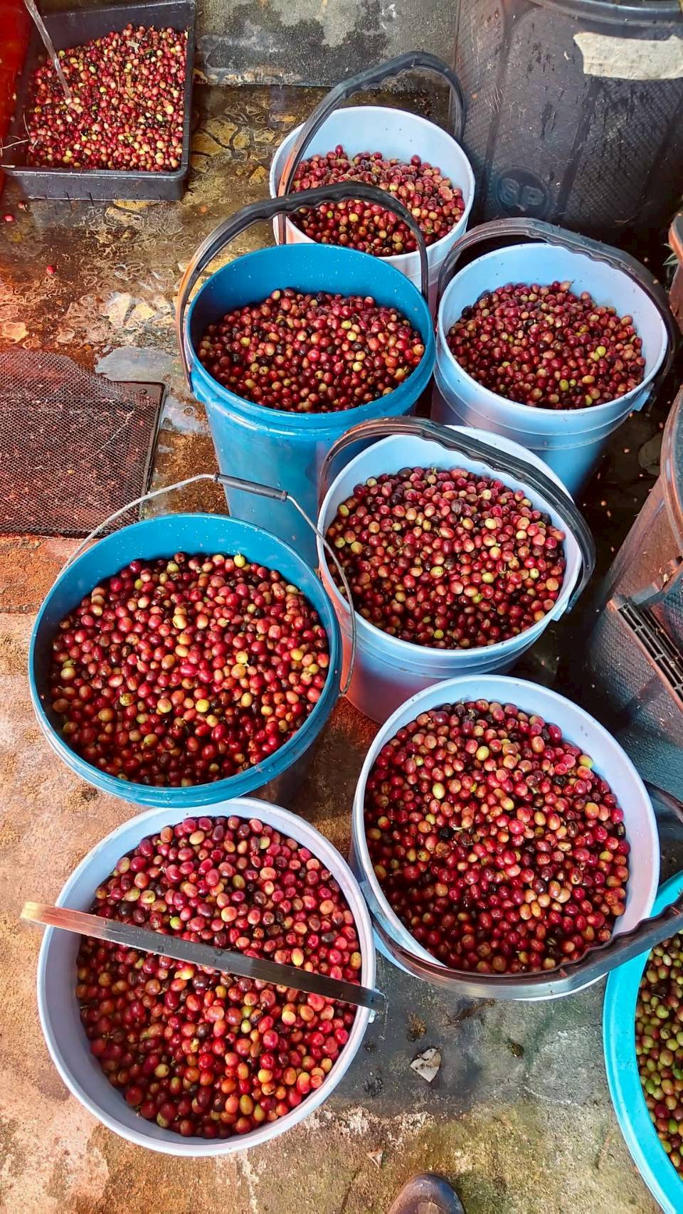 %e0%b8%81%e0%b8%b2%e0%b9%81%e0%b8%9f%e0%b9%80%e0%b8%8a%e0%b8%ad%e0%b8%a3%e0%b8%b5%e0%b9%88