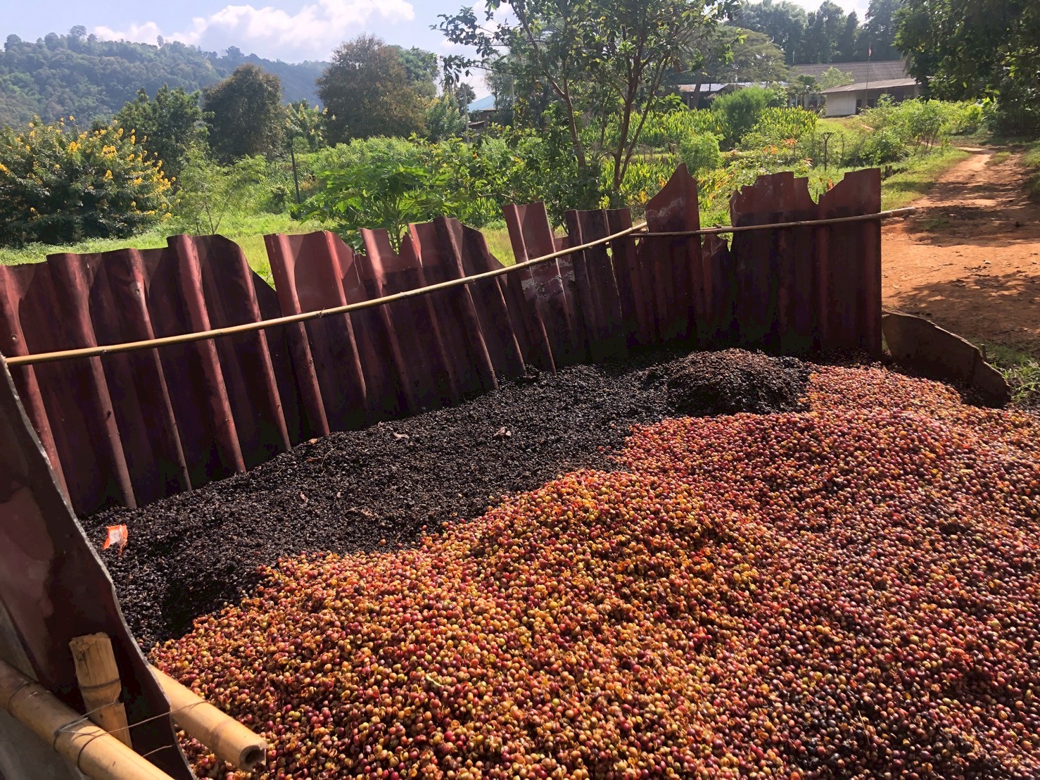 %e0%b9%80%e0%b8%9b%e0%b8%a5%e0%b8%b7%e0%b8%ad%e0%b8%81%e0%b8%81%e0%b8%b2%e0%b9%81%e0%b8%9f