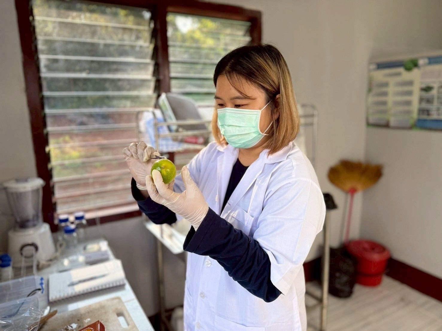 %e0%b8%81%e0%b8%b2%e0%b8%a3%e0%b8%a7%e0%b8%b4%e0%b9%80%e0%b8%84%e0%b8%a3%e0%b8%b2%e0%b8%b0%e0%b8%ab%e0%b9%8c%e0%b8%aa%e0%b8%b2%e0%b8%a3%e0%b8%95%e0%b8%81%e0%b8%84%e0%b9%89%e0%b8%b2%e0%b8%87