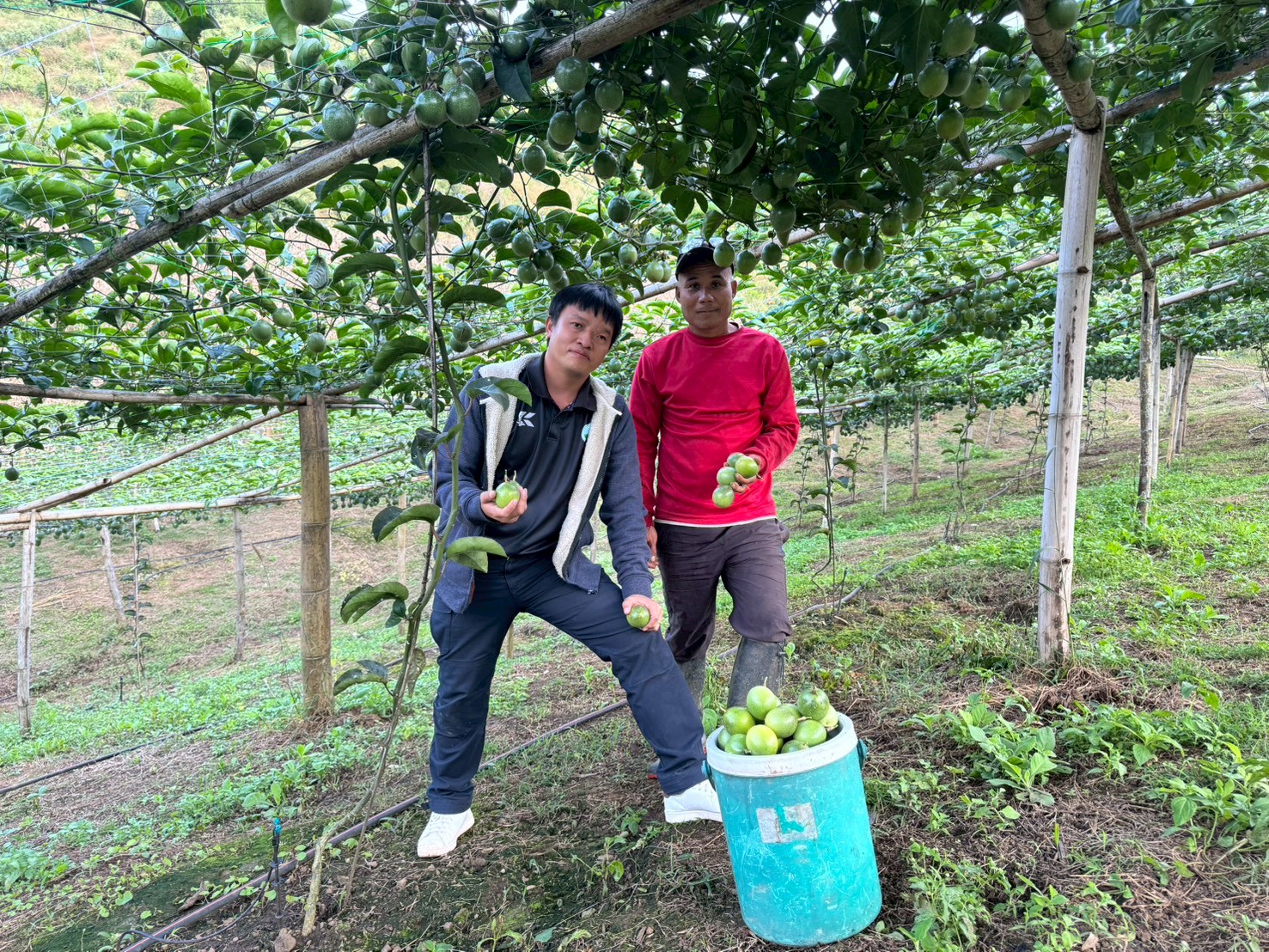 %e0%b9%80%e0%b8%aa%e0%b8%b2%e0%b8%a7%e0%b8%a3%e0%b8%aa%e0%b8%ab%e0%b8%a7%e0%b8%b2%e0%b8%99-%e0%b9%81%e0%b8%a1%e0%b9%88%e0%b8%a1%e0%b8%b0%e0%b8%a5%e0%b8%ad