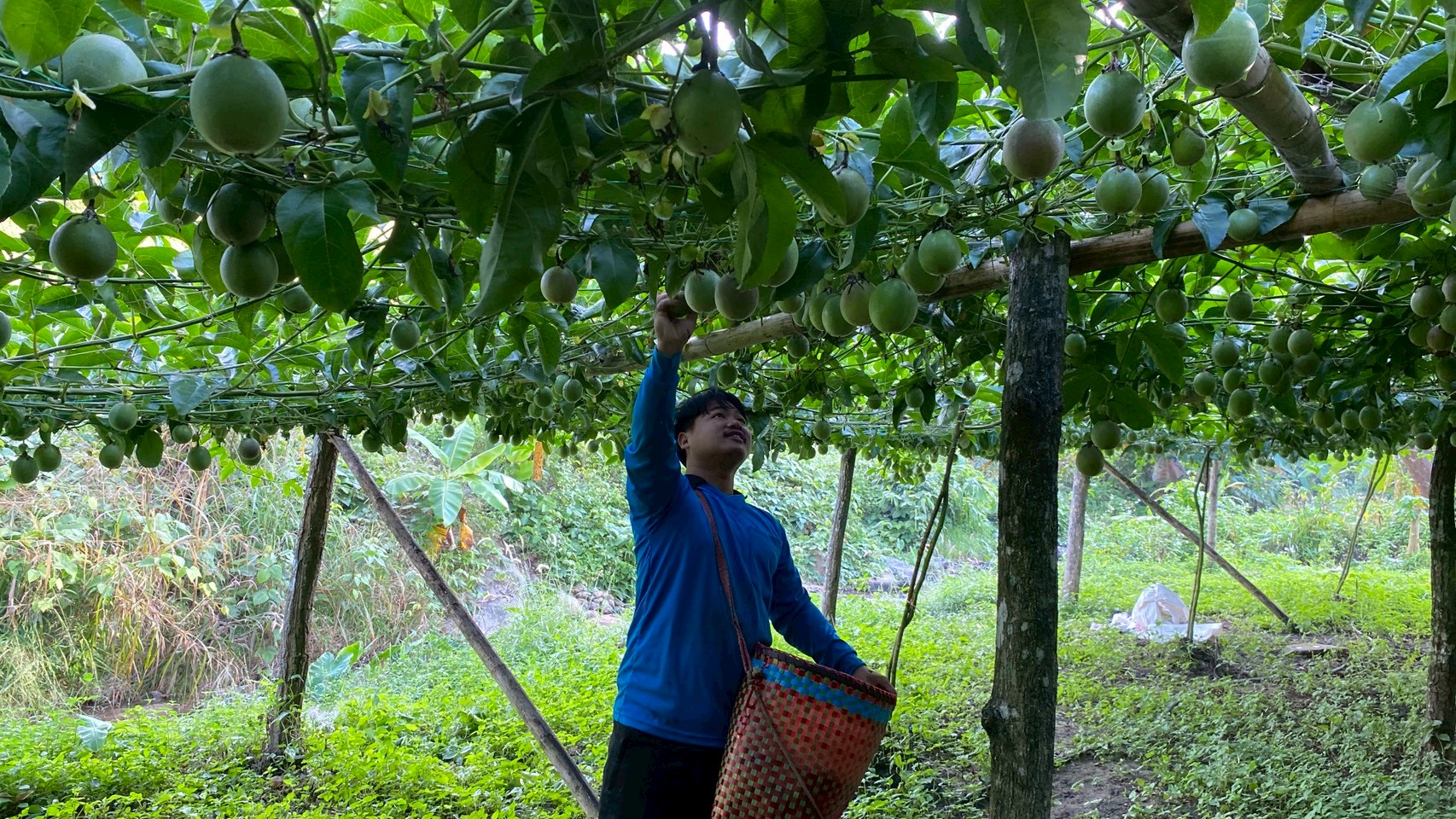 %e0%b9%80%e0%b8%aa%e0%b8%b2%e0%b8%a7%e0%b8%a3%e0%b8%aa%e0%b8%ab%e0%b8%a7%e0%b8%b2%e0%b8%99-%e0%b8%ab%e0%b9%89%e0%b8%a7%e0%b8%a2%e0%b9%82%e0%b8%9b%e0%b9%88%e0%b8%87%e0%b8%9e%e0%b8%b1%e0%b8%92%e0%b8%99