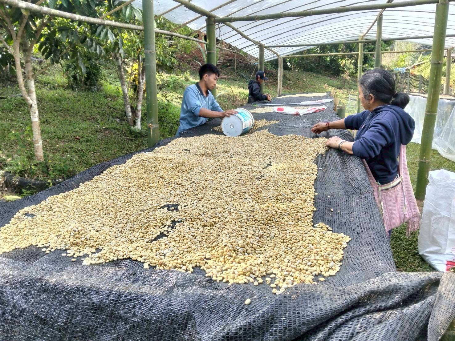 %e0%b8%95%e0%b8%b2%e0%b8%81%e0%b8%81%e0%b8%b2%e0%b9%81%e0%b8%9f%e0%b8%81%e0%b8%b0%e0%b8%a5%e0%b8%b2