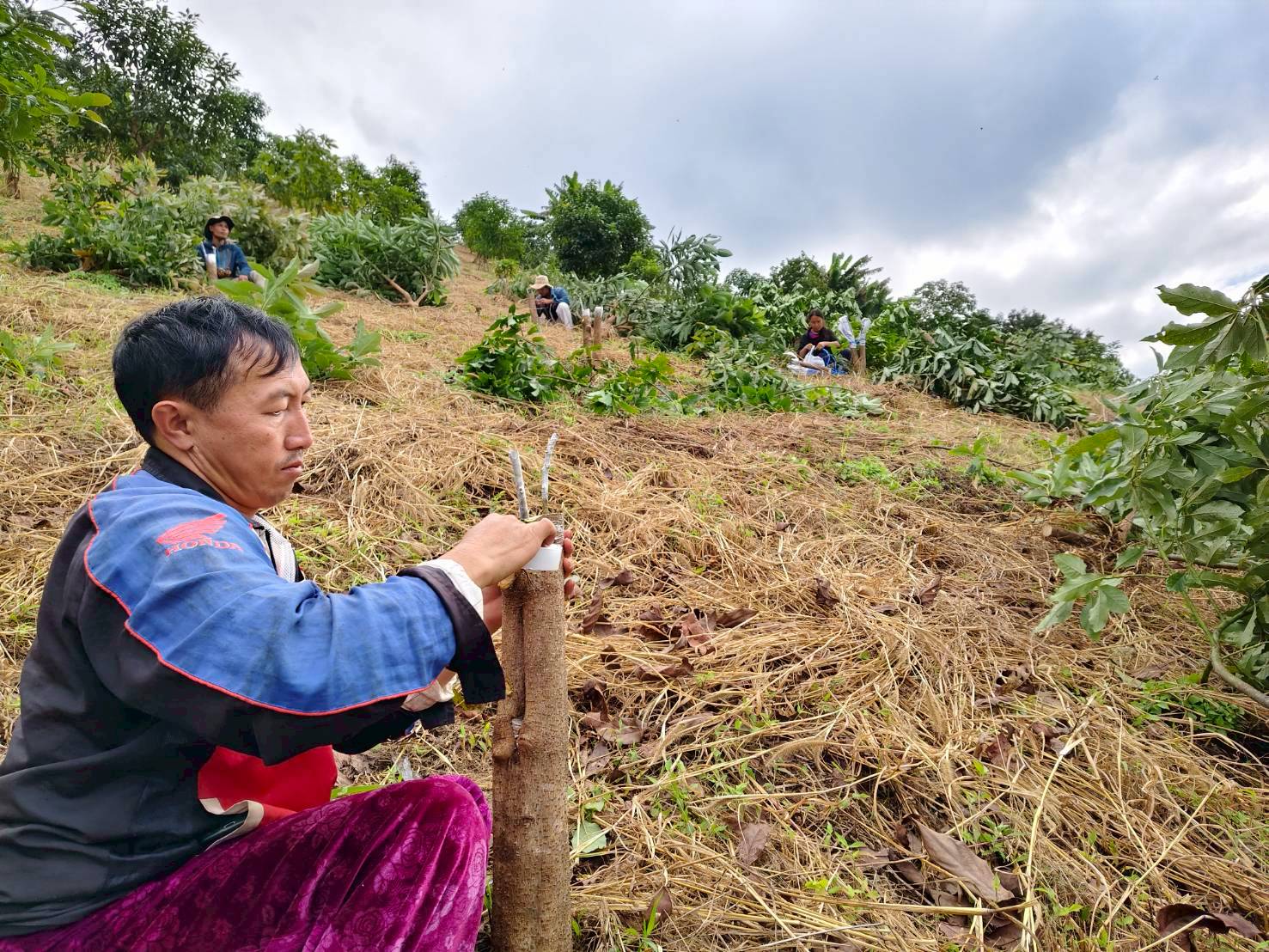 %e0%b9%80%e0%b8%9b%e0%b8%a5%e0%b8%b5%e0%b9%88%e0%b8%a2%e0%b8%99%e0%b8%a2%e0%b8%ad%e0%b8%94%e0%b8%ad%e0%b8%b0%e0%b9%82%e0%b8%a7%e0%b8%84%e0%b8%b2%e0%b9%82%e0%b8%94