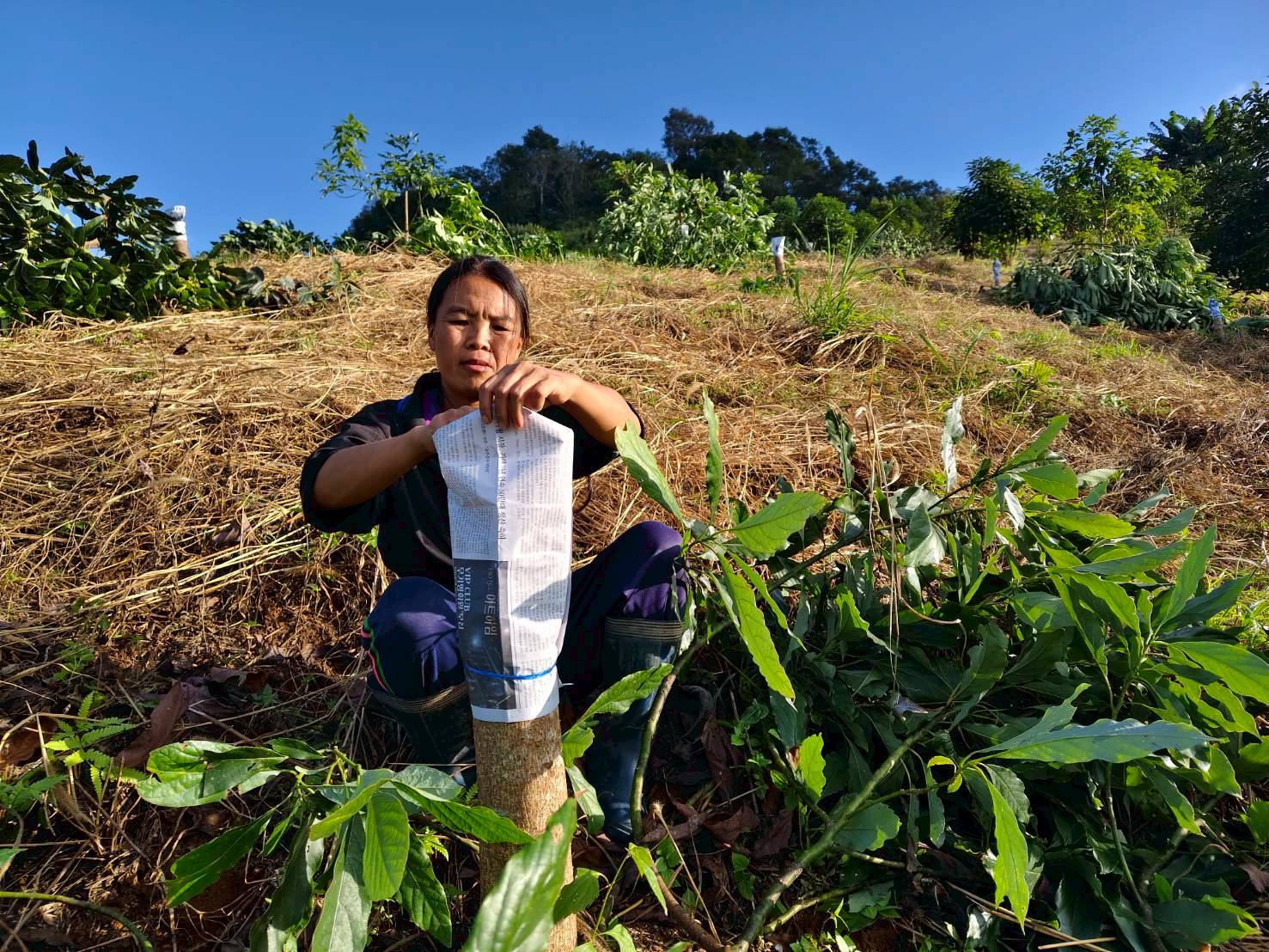 %e0%b9%80%e0%b8%9b%e0%b8%a5%e0%b8%b5%e0%b9%88%e0%b8%a2%e0%b8%99%e0%b8%a2%e0%b8%ad%e0%b8%94%e0%b8%9e%e0%b8%b1%e0%b8%99%e0%b8%98%e0%b8%b8%e0%b9%8c%e0%b8%ad%e0%b8%b0%e0%b9%82%e0%b8%a7%e0%b8%84%e0%b8%b2