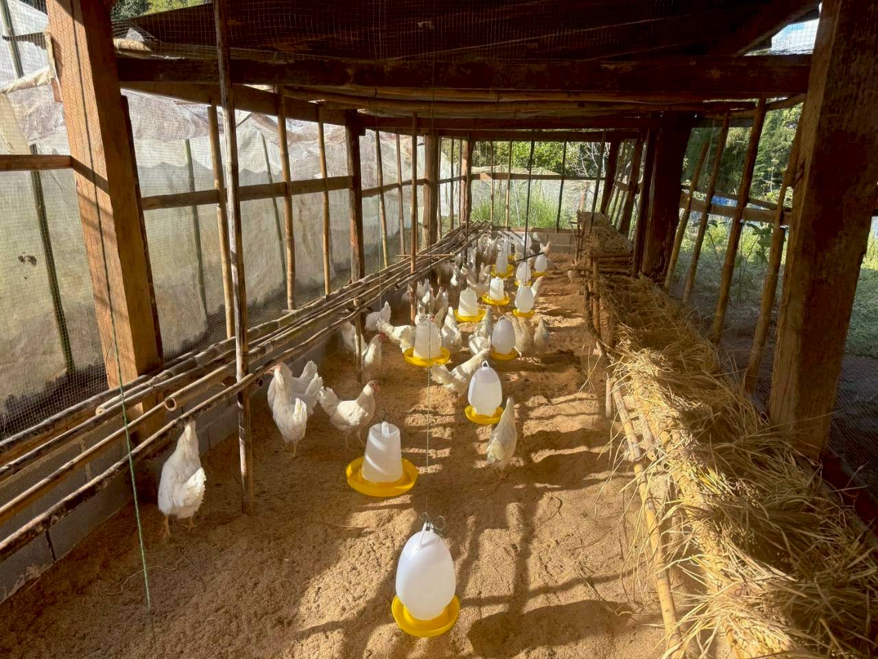 %e0%b9%80%e0%b8%a5%e0%b8%b5%e0%b9%89%e0%b8%a2%e0%b8%87%e0%b9%84%e0%b8%81%e0%b9%88%e0%b9%84%e0%b8%82%e0%b9%88