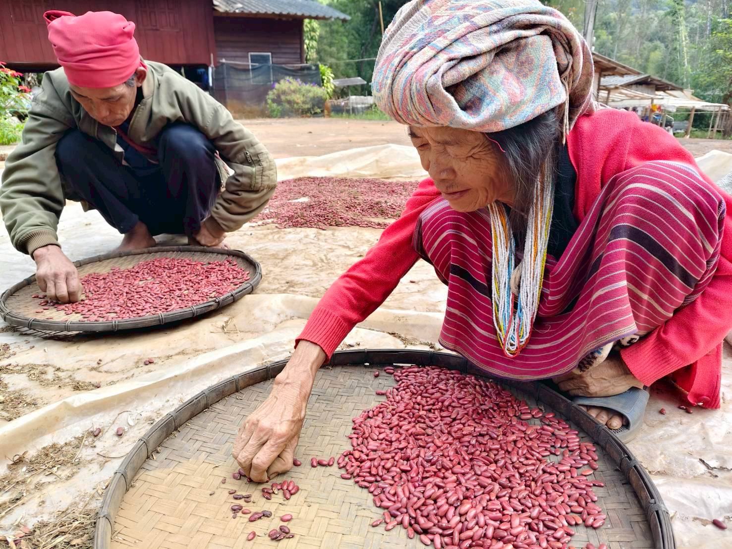 %e0%b8%84%e0%b8%b1%e0%b8%94%e0%b9%80%e0%b8%a1%e0%b8%a5%e0%b9%87%e0%b8%94%e0%b8%96%e0%b8%b1%e0%b9%88%e0%b8%a7%e0%b9%81%e0%b8%94%e0%b8%87