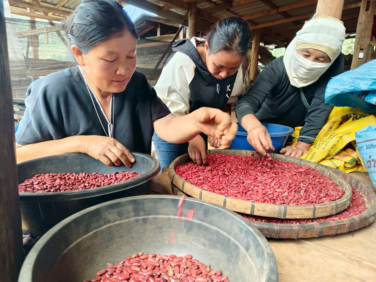 %e0%b8%84%e0%b8%b1%e0%b8%94%e0%b9%80%e0%b8%a1%e0%b8%a5%e0%b9%87%e0%b8%94%e0%b8%96%e0%b8%b1%e0%b9%88%e0%b8%a7%e0%b9%81%e0%b8%94%e0%b8%87-2