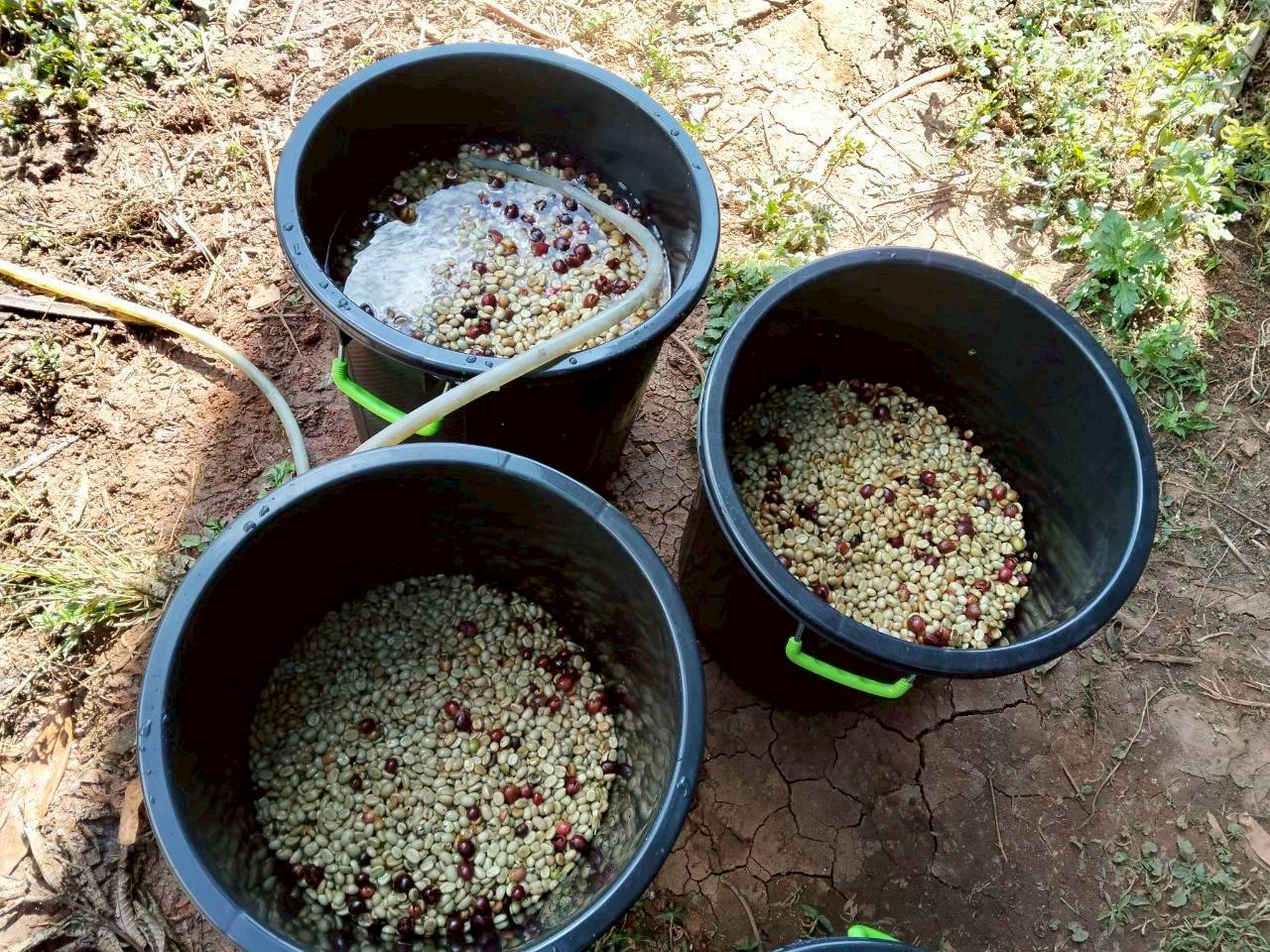 %e0%b8%ab%e0%b8%a1%e0%b8%b1%e0%b8%81%e0%b9%80%e0%b8%a1%e0%b8%a5%e0%b9%87%e0%b8%94%e0%b8%81%e0%b8%b2%e0%b9%81%e0%b8%9f