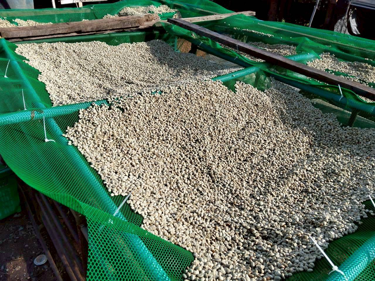 %e0%b8%95%e0%b8%b2%e0%b8%81%e0%b9%80%e0%b8%a1%e0%b8%a5%e0%b9%87%e0%b8%94%e0%b8%81%e0%b8%b2%e0%b9%81%e0%b8%9f