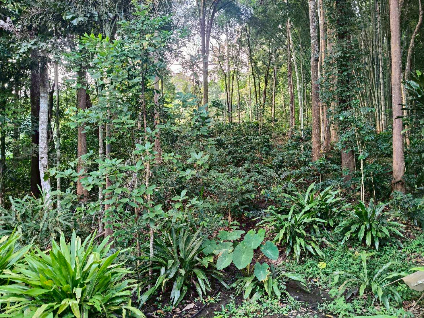 %e0%b8%81%e0%b8%b2%e0%b9%81%e0%b8%9f-%e0%b8%a5%e0%b8%b4%e0%b8%87%e0%b8%a5%e0%b8%b2%e0%b8%a7-%e0%b9%82%e0%b8%ab%e0%b8%a5%e0%b9%88%e0%b8%87%e0%b8%82%e0%b8%ad%e0%b8%94