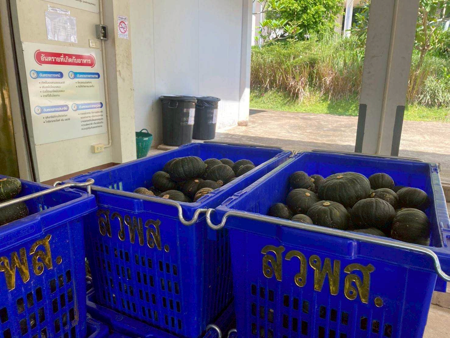 %e0%b8%9f%e0%b8%b1%e0%b8%81%e0%b8%97%e0%b8%ad%e0%b8%87%e0%b8%8d%e0%b8%b5%e0%b9%88%e0%b8%9b%e0%b8%b8%e0%b9%88%e0%b8%99