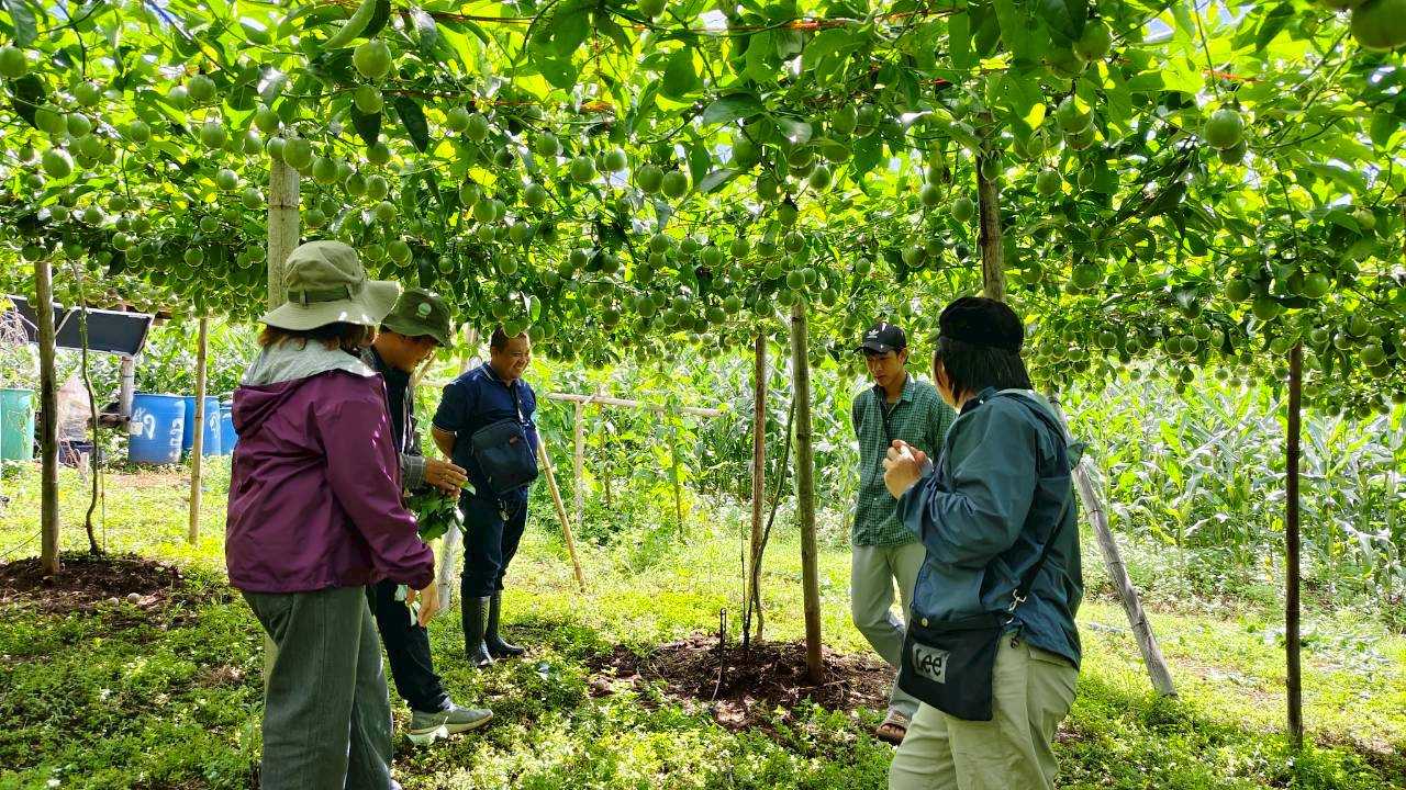 %e0%b8%95%e0%b8%b4%e0%b8%94%e0%b8%95%e0%b8%b2%e0%b8%a1%e0%b9%83%e0%b8%ab%e0%b9%89%e0%b8%84%e0%b8%b3%e0%b9%81%e0%b8%99%e0%b8%b0%e0%b8%99%e0%b8%b3