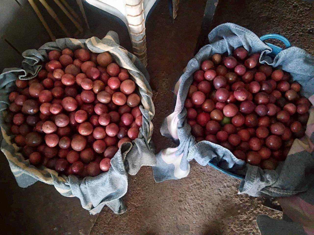 %e0%b8%81%e0%b8%b2%e0%b8%a3%e0%b8%9a%e0%b9%88%e0%b8%a1%e0%b9%80%e0%b8%aa%e0%b8%b2%e0%b8%a7%e0%b8%a3%e0%b8%aa%e0%b8%ab%e0%b8%a7%e0%b8%b2%e0%b8%99