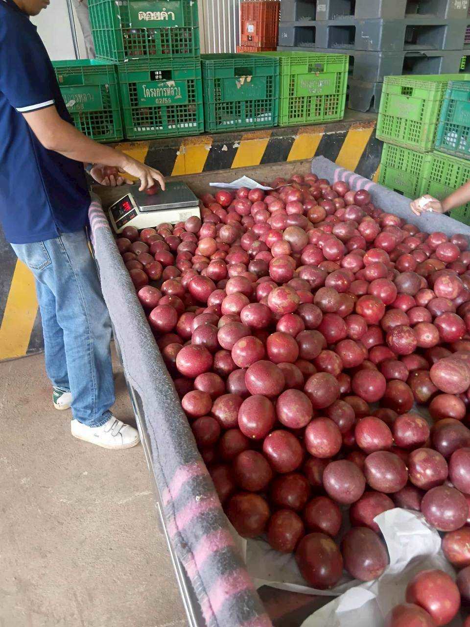 %e0%b8%81%e0%b8%b2%e0%b8%a3%e0%b8%84%e0%b8%b1%e0%b8%94%e0%b9%80%e0%b8%81%e0%b8%a3%e0%b8%94%e0%b9%80%e0%b8%aa%e0%b8%b2%e0%b8%a7%e0%b8%a3%e0%b8%aa%e0%b8%ab%e0%b8%a7%e0%b8%b2%e0%b8%99