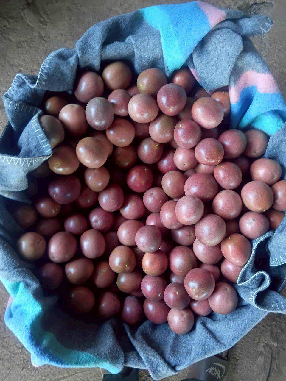 %e0%b8%81%e0%b8%b2%e0%b8%a3%e0%b8%9a%e0%b9%88%e0%b8%ad%e0%b8%a1%e0%b9%80%e0%b8%aa%e0%b8%b2%e0%b8%a7%e0%b8%a3%e0%b8%aa%e0%b8%ab%e0%b8%a7%e0%b8%b2%e0%b8%99-1