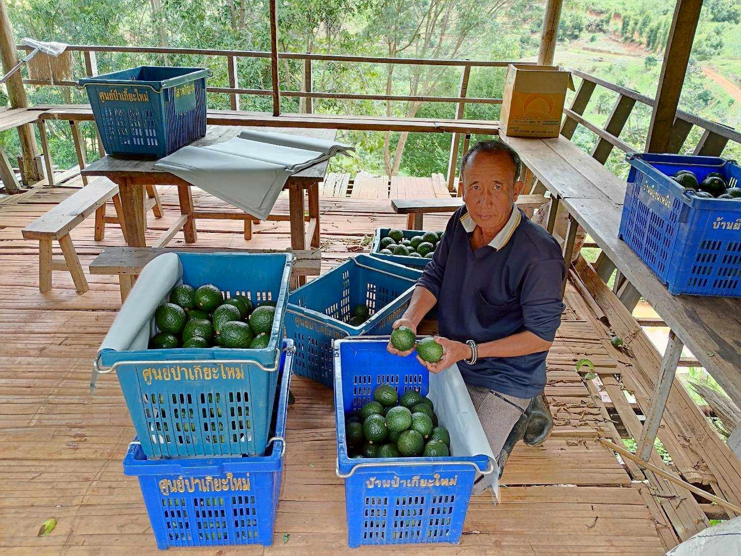 %e0%b8%ad%e0%b8%b0%e0%b9%82%e0%b8%a7%e0%b8%84%e0%b8%b2%e0%b9%82%e0%b8%94-%e0%b8%9b%e0%b9%88%e0%b8%b2%e0%b9%80%e0%b8%81%e0%b8%b5%e0%b9%8a%e0%b8%a2%e0%b8%b0%e0%b9%83%e0%b8%ab%e0%b8%a1%e0%b9%88