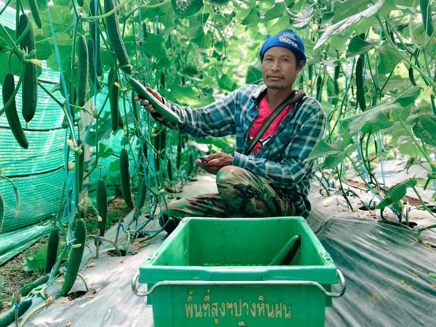 %e0%b9%81%e0%b8%95%e0%b8%87%e0%b8%81%e0%b8%a7%e0%b8%b2%e0%b8%8d%e0%b8%b5%e0%b9%88%e0%b8%9b%e0%b8%b8%e0%b9%88%e0%b8%99