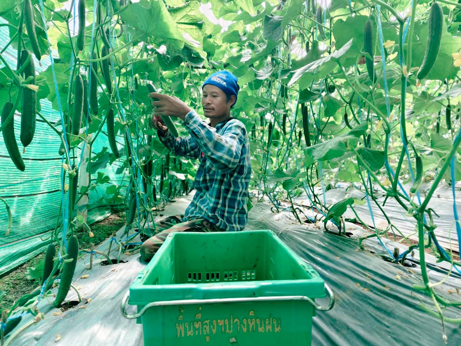 %e0%b9%81%e0%b8%95%e0%b8%87%e0%b8%81%e0%b8%a7%e0%b8%b2%e0%b8%8d%e0%b8%b5%e0%b9%88%e0%b8%9b%e0%b8%b8%e0%b9%88%e0%b8%99-1