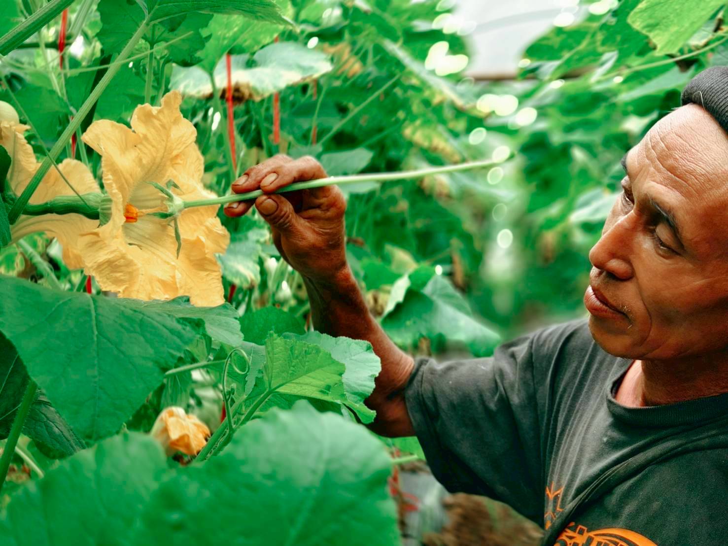 %e0%b8%81%e0%b8%b2%e0%b8%a3%e0%b8%9c%e0%b8%aa%e0%b8%a1%e0%b9%80%e0%b8%81%e0%b8%a9%e0%b8%a3