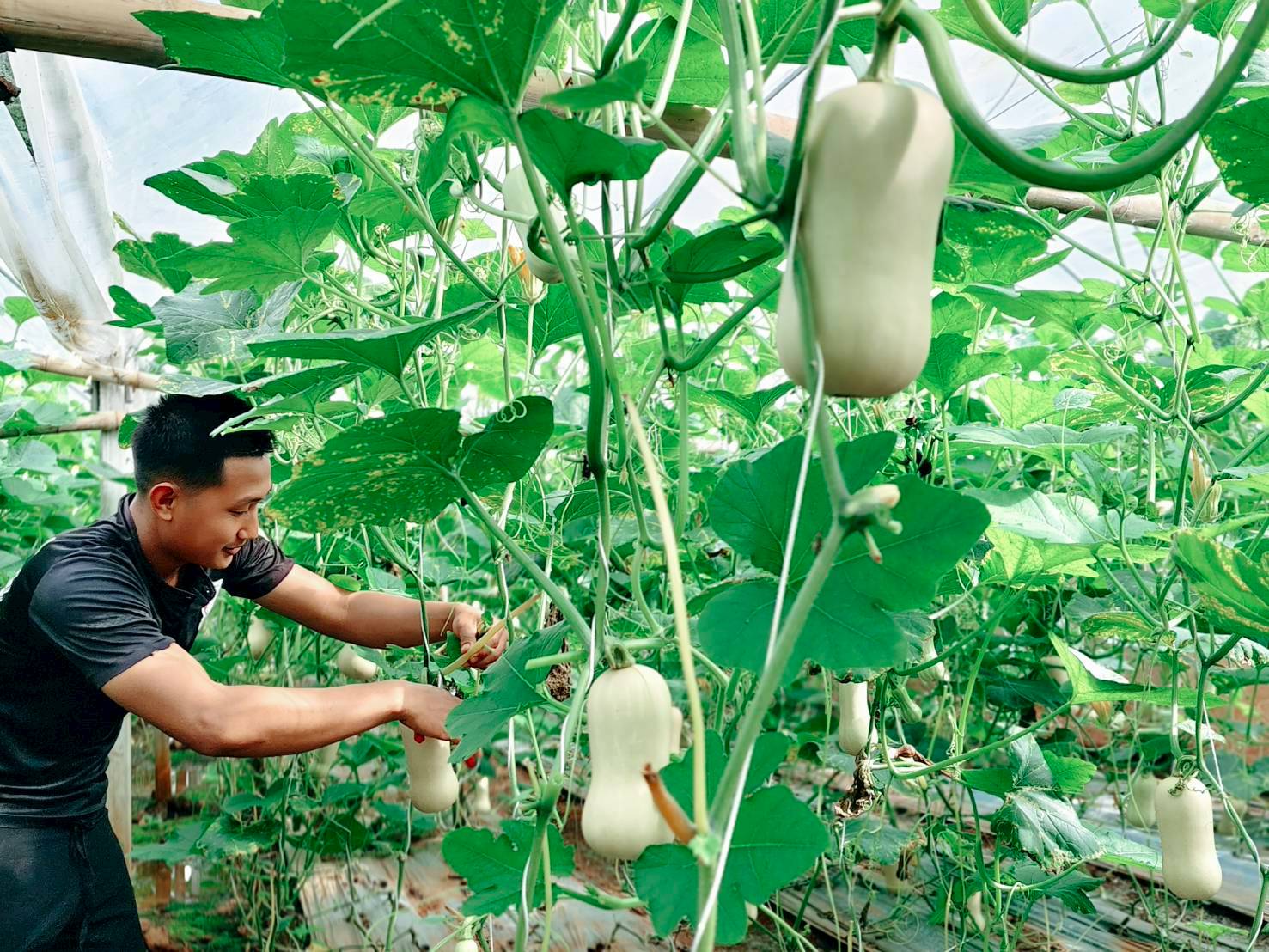 %e0%b8%9a%e0%b8%b1%e0%b8%95%e0%b9%80%e0%b8%95%e0%b8%ad%e0%b8%a3%e0%b9%8c%e0%b8%99%e0%b8%b1%e0%b8%97%e0%b8%9b%e0%b8%b2%e0%b8%87%e0%b8%ab%e0%b8%b4%e0%b8%99%e0%b8%9d%e0%b8%99