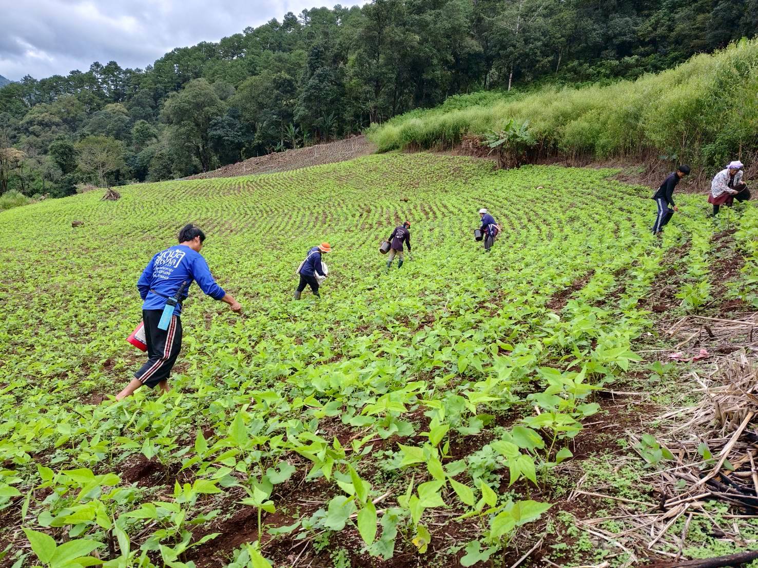 %e0%b8%96%e0%b8%b1%e0%b9%88%e0%b8%a7%e0%b8%9b%e0%b8%b2%e0%b8%87%e0%b8%ab%e0%b8%b4%e0%b8%99%e0%b8%9d%e0%b8%99