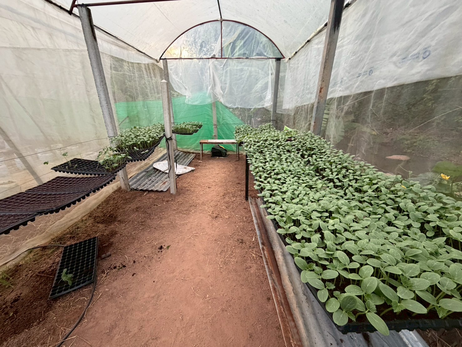 %e0%b9%82%e0%b8%a3%e0%b8%87%e0%b9%80%e0%b8%9e%e0%b8%b2%e0%b8%b0%e0%b8%81%e0%b8%a5%e0%b9%89%e0%b8%b2